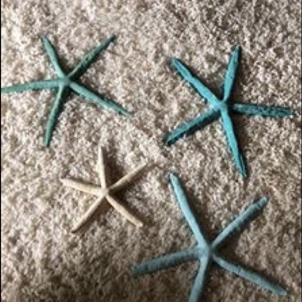 Starfish for your wall